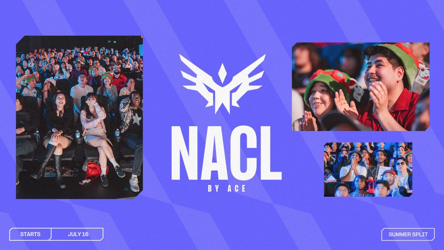 Official NACL Summer 2026 primer artwork