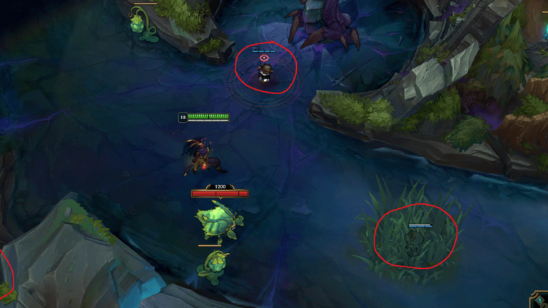 League of Legends Rift Herald pit vision setup