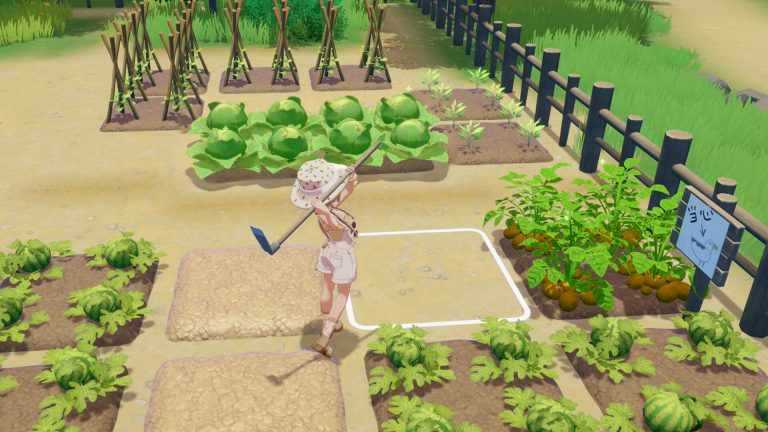 Farmer tending vegetable plots on Starsand Island