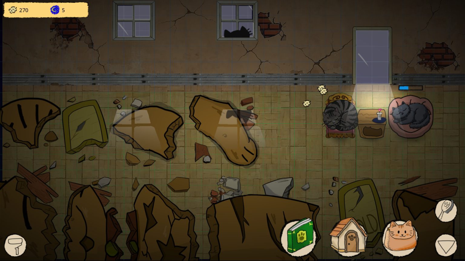 Stray cats resting in the rainy room of Humble Abode and Strays